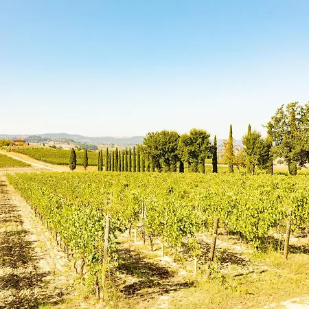 Farm stay Sangiovese